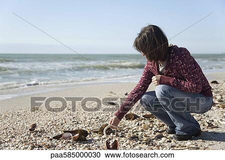 Woman collecting seashells at the beach View Large Photo Image Stock Image - Woman collecting seashells at the beach. Fotosearch