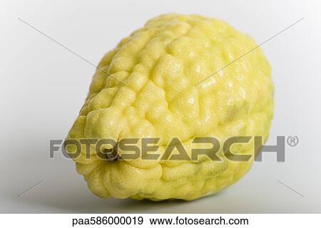 Stock Photo - Balady citron. Fotosearch