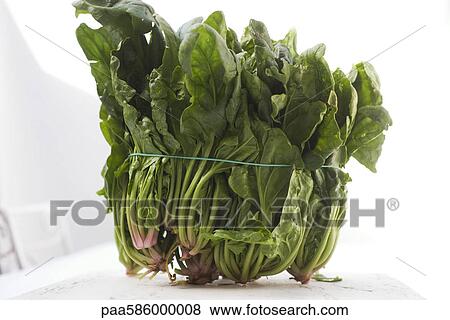 Stock Photo - Bunch of fresh spinach. Fotosearch