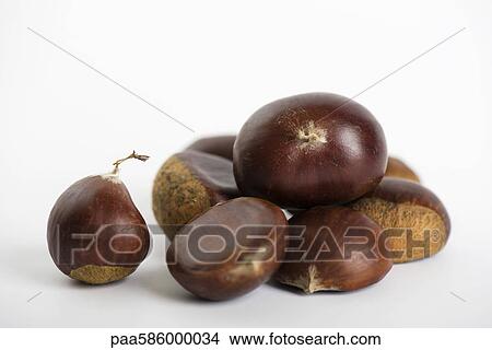 Chestnuts View Large Photo Image Picture - Chestnuts. Fotosearch