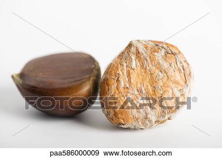 Chestnuts View Large Photo Image Stock Photo - Chestnuts. Fotosearch