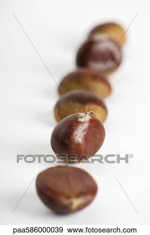 Chestnuts View Large Photo Image Stock Photo - Chestnuts. Fotosearch