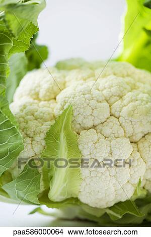 Picture - Fresh cauliflower. Fotosearch
