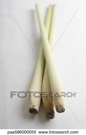 Lemongrass View Large Photo Image Stock Photography - Lemongrass. Fotosearch