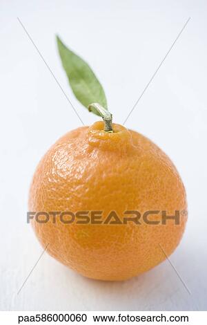 Orange View Large Photo Image Stock Image - Orange. Fotosearch