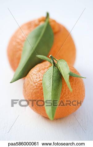 Stock Image - Oranges. Fotosearch