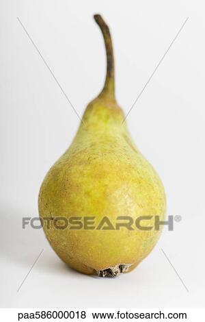 Pear View Large Photo Image Stock Photo - Pear. Fotosearch