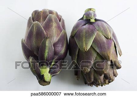 Stock Photo - Purple artichokes. Fotosearch