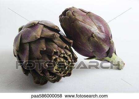 Purple artichokes View Large Photo Image Stock Photo - Purple artichokes. Fotosearch