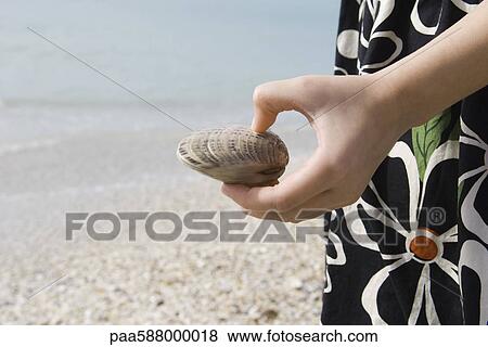 Girl holding clam shell on beach, cropped View Large Photo Image Stock Photo - Girl holding clam shell on beach, cropped. Fotosearch