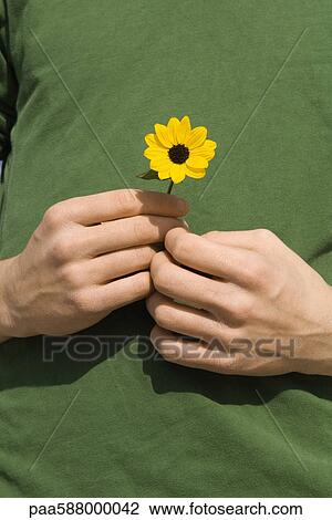 Stock Image - Male holding flower. Fotosearch