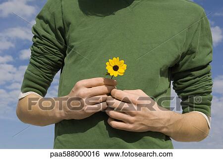 Male holding flower View Large Photo Image Stock Photograph - Male holding flower. Fotosearch
