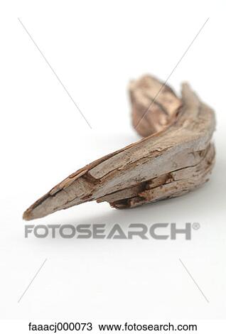 Stock Image - dry, wood, driftwood, dead plant, dead plants, dried plant, dried plants. Fotosearch