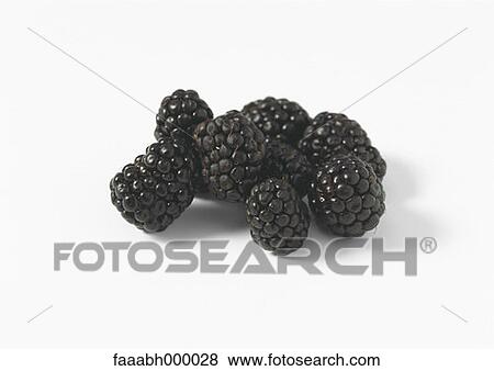 Stock Photo - fruit, blackberry, blackberries, food and drink, gastronomy, close-up, close shot. Fotosearch