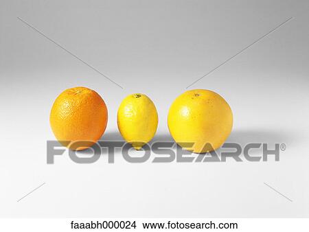 Picture - fruit, citrus fruit, citrus lemon, lemons, orange, oranges, grapefruit. Fotosearch