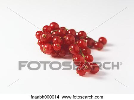 fruit, currant, currants, bunch, bunches, food and drink, gastronomy View Large Photo Image Picture - fruit, currant, currants, bunch, bunches, food and drink, gastronomy. Fotosearch