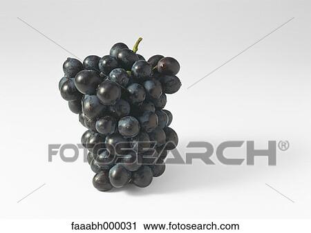 Stock Image - fruit, grape, grapes, bunch, bunches, red grape, food and drink. Fotosearch