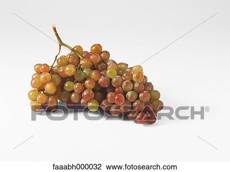 fruit, grape, grapes, bunch, bunches, white grape, red grape View Large Photo Image Stock Image - fruit, grape, grapes, bunch, bunches, white grape, red grape. Fotosearch