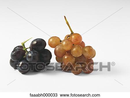 fruit, grape, grapes, bunch, bunches, white grape, red grape View Large Photo Image Stock Image - fruit, grape, grapes, bunch, bunches, white grape, red grape. Fotosearch