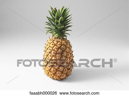 Stock Photograph - fruit, pineapple, food and drink, gastronomy, close-up, close shot, white background. Fotosearch