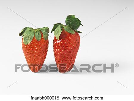 fruit, strawberry, strawberries, food and drink, gastronomy, close-up, close shot View Large Photo Image Stock Photography - fruit, strawberry, strawberries, food and drink, gastronomy, close-up, close shot. Fotosearch
