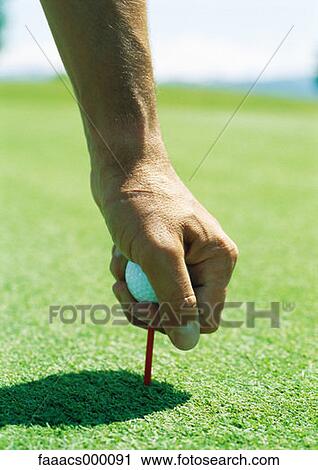 hand, green, greens, golfgreen, golf green, golf greens, tee View Large Photo Image Stock Image - hand, green, greens, golfgreen, golf green, golf greens, tee. Fotosearch