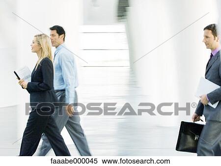 woman, females, male, males, team, colleague View Large Photo Image Stock Photography - woman, females, male, males, team, colleague. Fotosearch