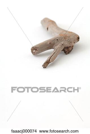 wood, driftwood, dead plant, dead plants, dried plant, dried plants, nature View Large Photo Image Picture - wood, driftwood, dead plant, dead plants, dried plant, dried plants, nature. Fotosearch