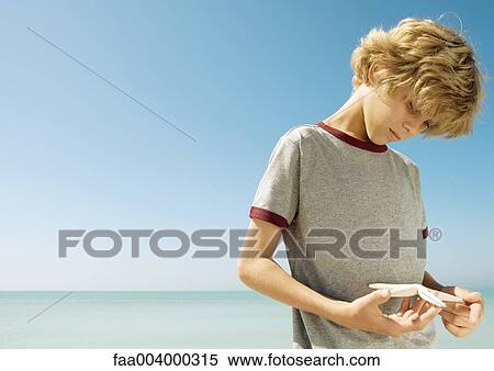 Boy holding starfish View Large Photo Image Stock Photography - Boy holding starfish. Fotosearch