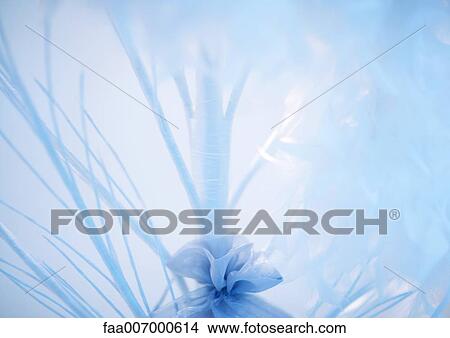 Picture - Branches and feathers. Fotosearch