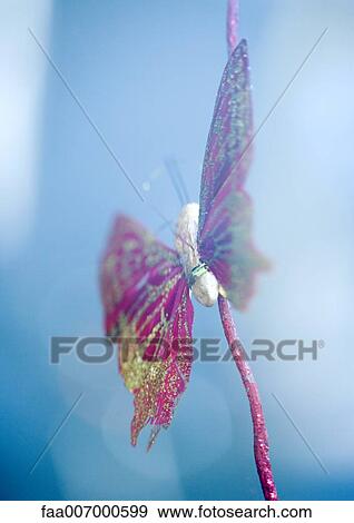 Butterfly decoration View Large Photo Image Stock Photo - Butterfly decoration. Fotosearch