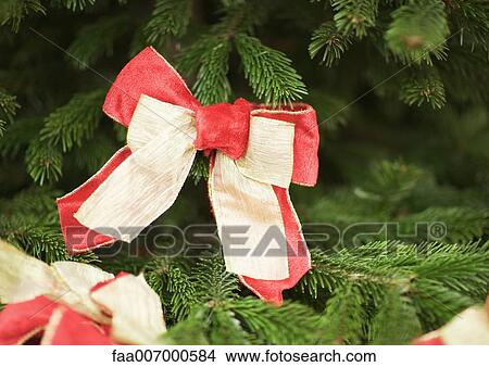 Picture - Christmas decoration on tree, close-up. Fotosearch