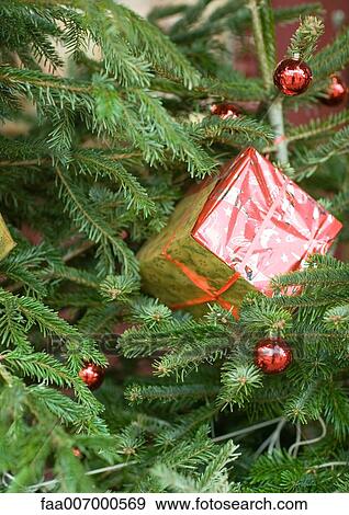Christmas decoration on tree, close-up View Large Photo Image Stock Photo - Christmas decoration on tree, close-up. Fotosearch