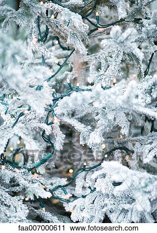 Christmas lights on snow-covered tree View Large Photo Image Stock Image - Christmas lights on snow-covered tree. Fotosearch