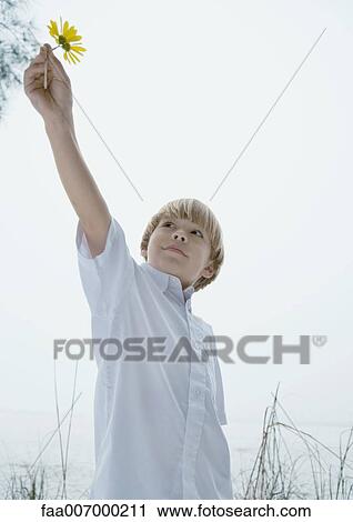 Stock Image - Little boy holding up flower, low angle view. Fotosearch