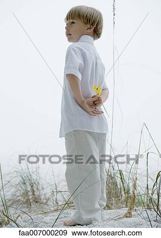 Stock Photo - Little boy standing in dunes, holding flowers behind back. Fotosearch