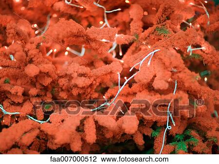Red christmas tree with christmas lights View Large Photo Image Stock Image - Red christmas tree with christmas lights. Fotosearch