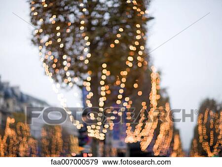 Rows of trees with christmas lights, low angle view View Large Photo Image Stock Photo - Rows of trees with christmas lights, low angle view. Fotosearch
