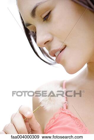 Woman holding dandelion, extreme close-up View Large Photo Image Stock Photo - Woman holding dandelion, extreme close-up. Fotosearch