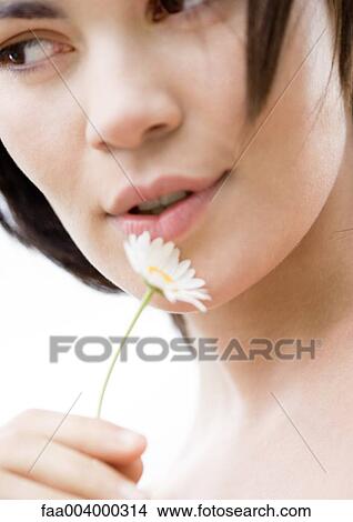 Woman holding flower next to face, close-up View Large Photo Image Picture - Woman holding flower next to face, close-up. Fotosearch
