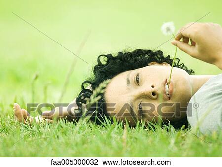 Woman lying on grass with dandelion in mouth View Large Photo Image Stock Image - Woman lying on grass with dandelion in mouth. Fotosearch