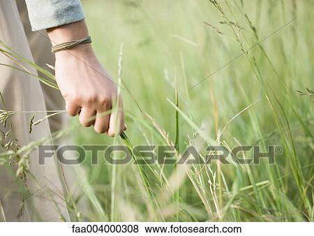 Woman's hand pulling on long grass View Large Photo Image Stock Photo - Woman's hand pulling on long grass. Fotosearch