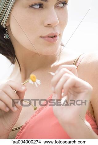 Young woman plucking petal off flower View Large Photo Image Picture - Young woman plucking petal off flower. Fotosearch