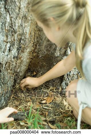 Picture - Girl reaching for something at base of tree. Fotosearch