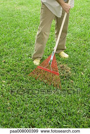 Man raking yard, waist down View Large Photo Image Stock Photo - Man raking yard, waist down. Fotosearch