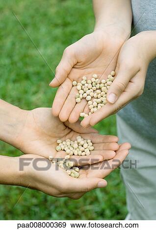 Stock Photo - One person pouring seeds into second person's hands. Fotosearch