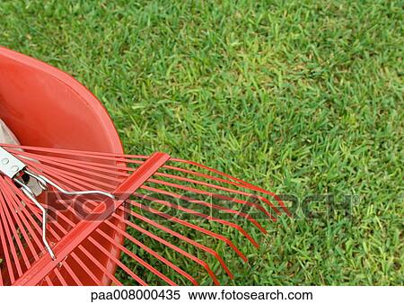 Stock Photography - Rake and wheelbarrow, partial view. Fotosearch