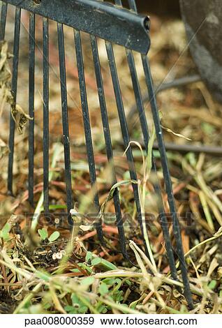 Rake, extreme close-up View Large Photo Image Stock Photo - Rake, extreme close-up. Fotosearch
