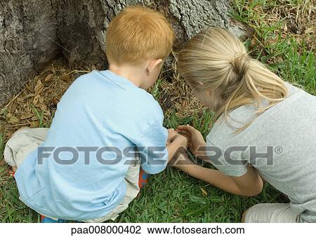 Two children catching small animal at base of tree View Large Photo Image Stock Image - Two children catching small animal at base of tree. Fotosearch