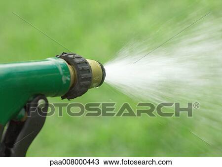 Water spraying from garden hose View Large Photo Image Stock Image - Water spraying from garden hose. Fotosearch